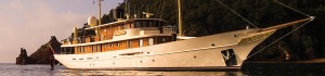 Specialised Yacht Refinishing creates your yacht refinishing